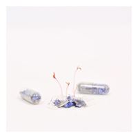 CAPSULA DI SEMI